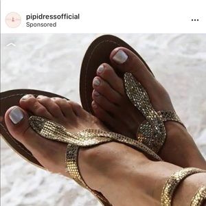 Meet your Posher, Allen